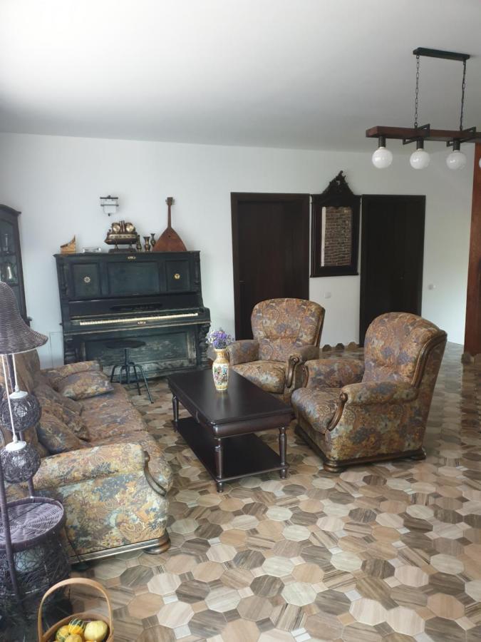 Casa Danei Hotel Braşov Buitenkant foto