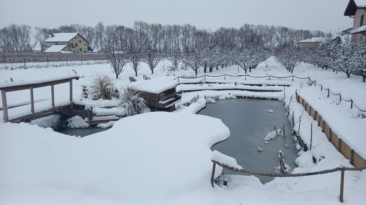Casa Danei Hotel Braşov Buitenkant foto